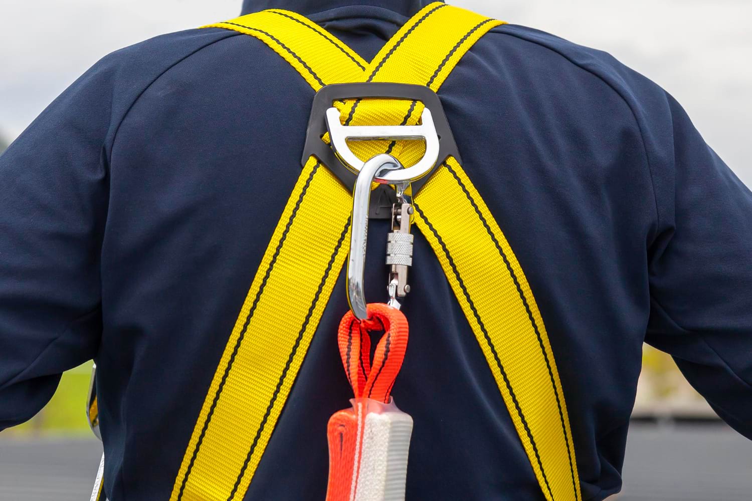 fall safety harness